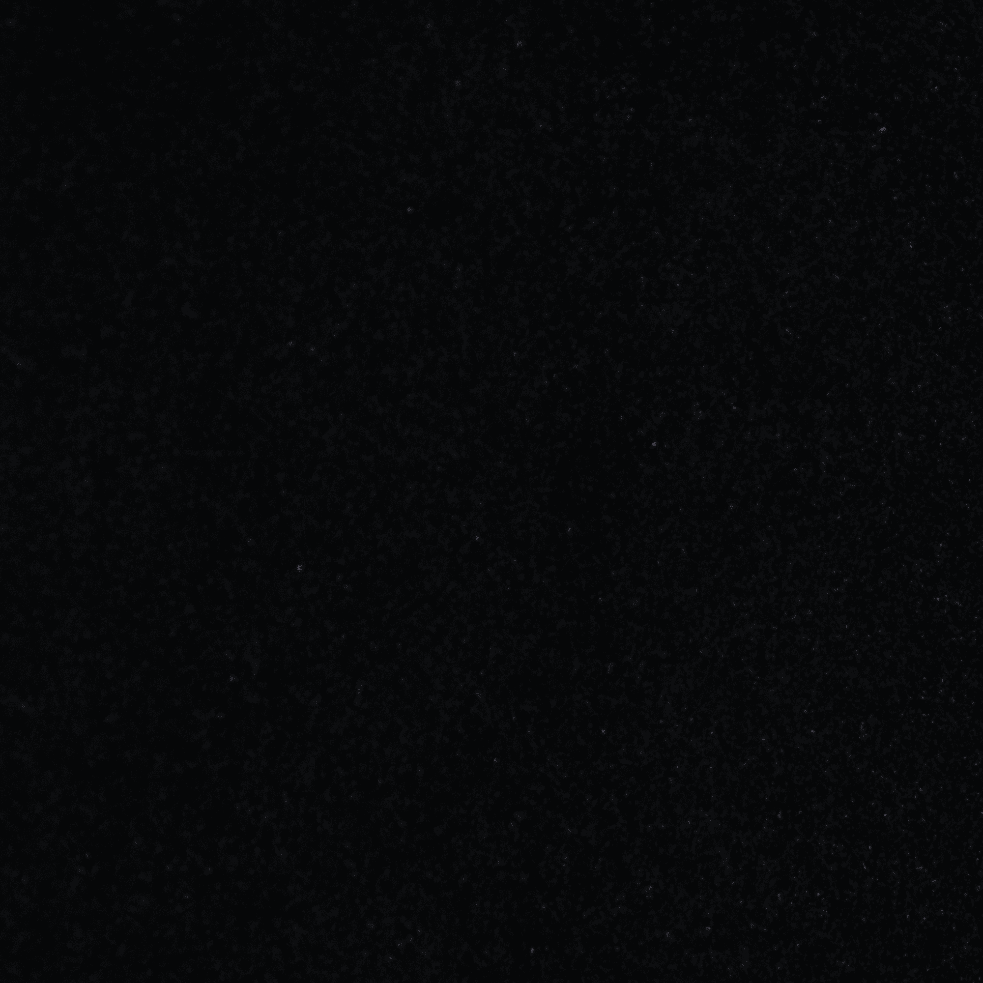 Nagrobek Granitowy czarny Pojedynczy Absolute Black KOJOS